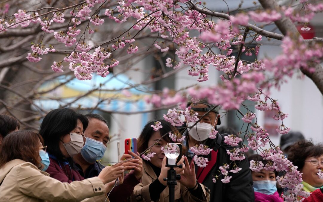 WHO: COVID deaths jump by 40%, but cases falling globally