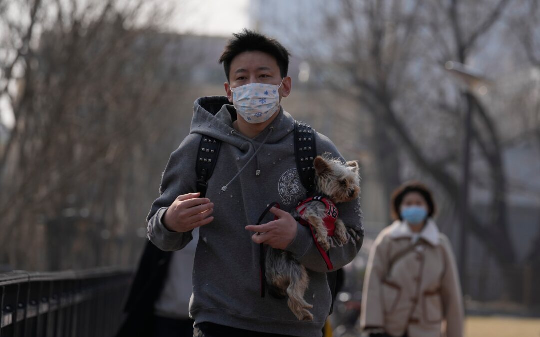 Disney closes Shanghai park as virus rises, Shenzhen reopens