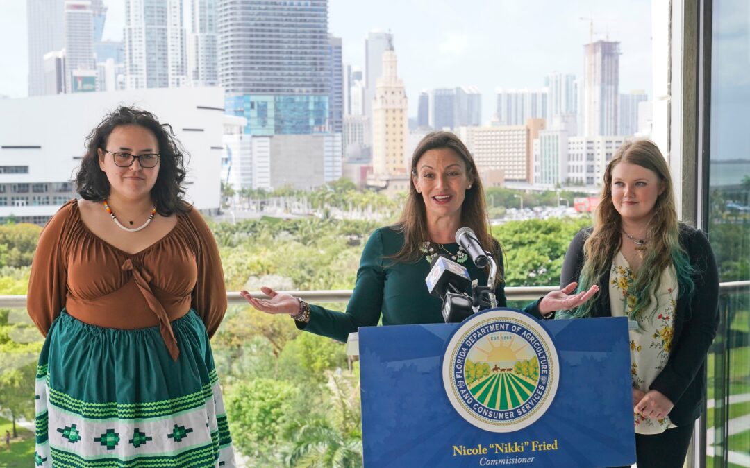 Florida seeks 100% renewable electricity by 2050