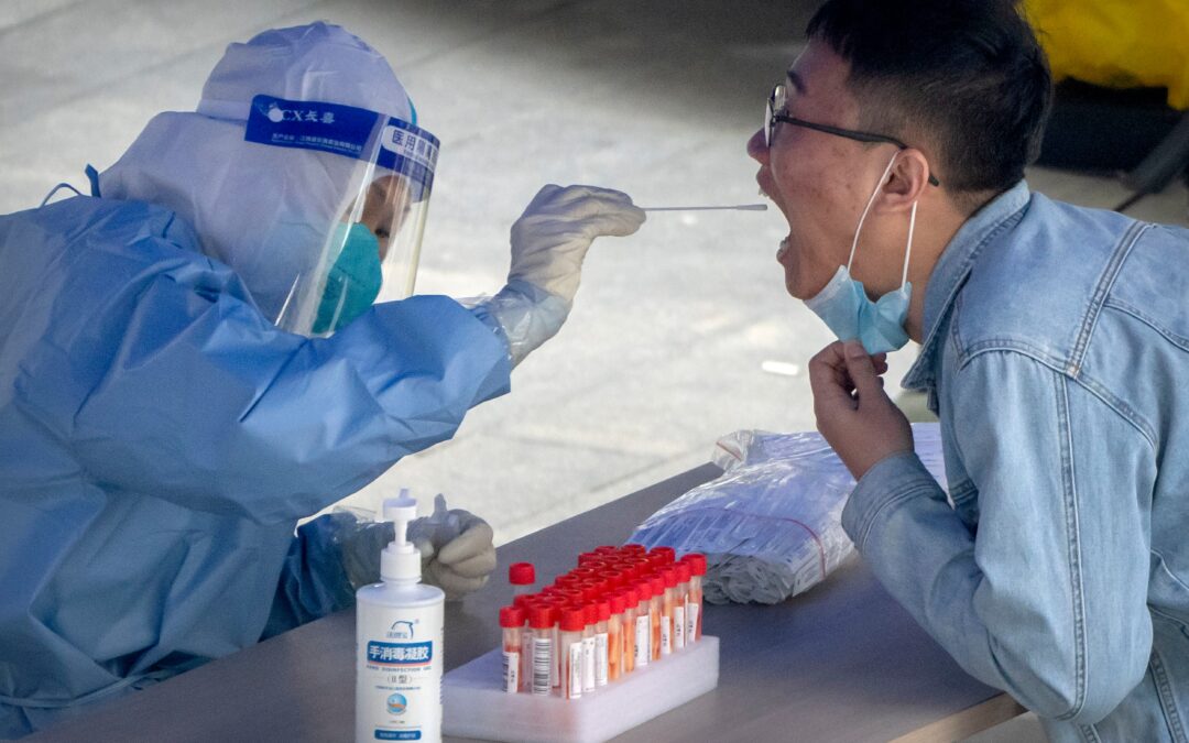 WHO: Nearly 15M deaths associated with COVID-19