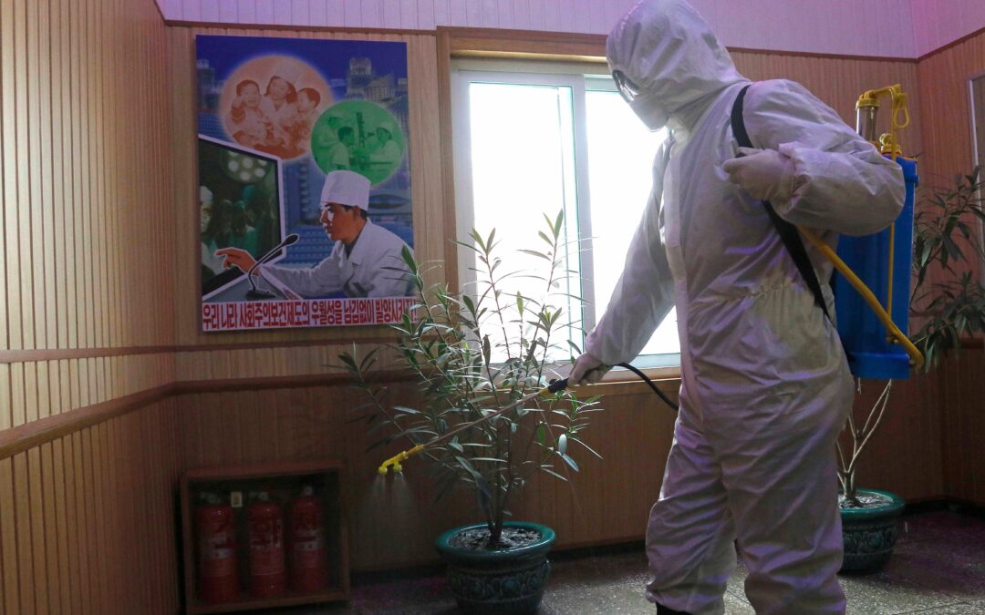 North Korea raises alarm after confirming 1st COVID-19 case