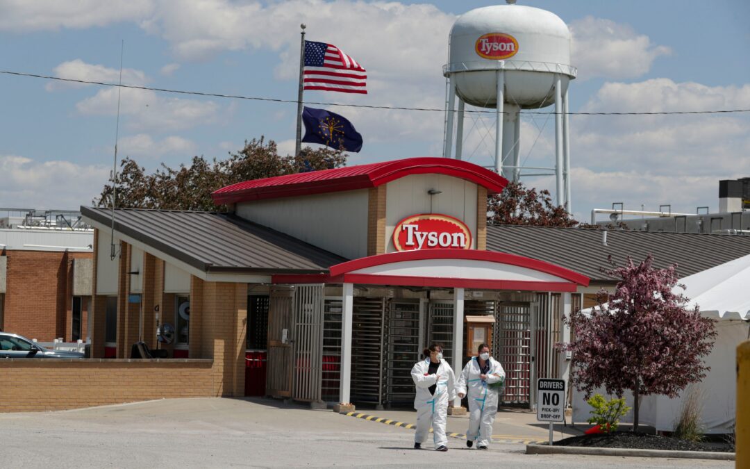 Report criticizes meat industry, USDA response to pandemic