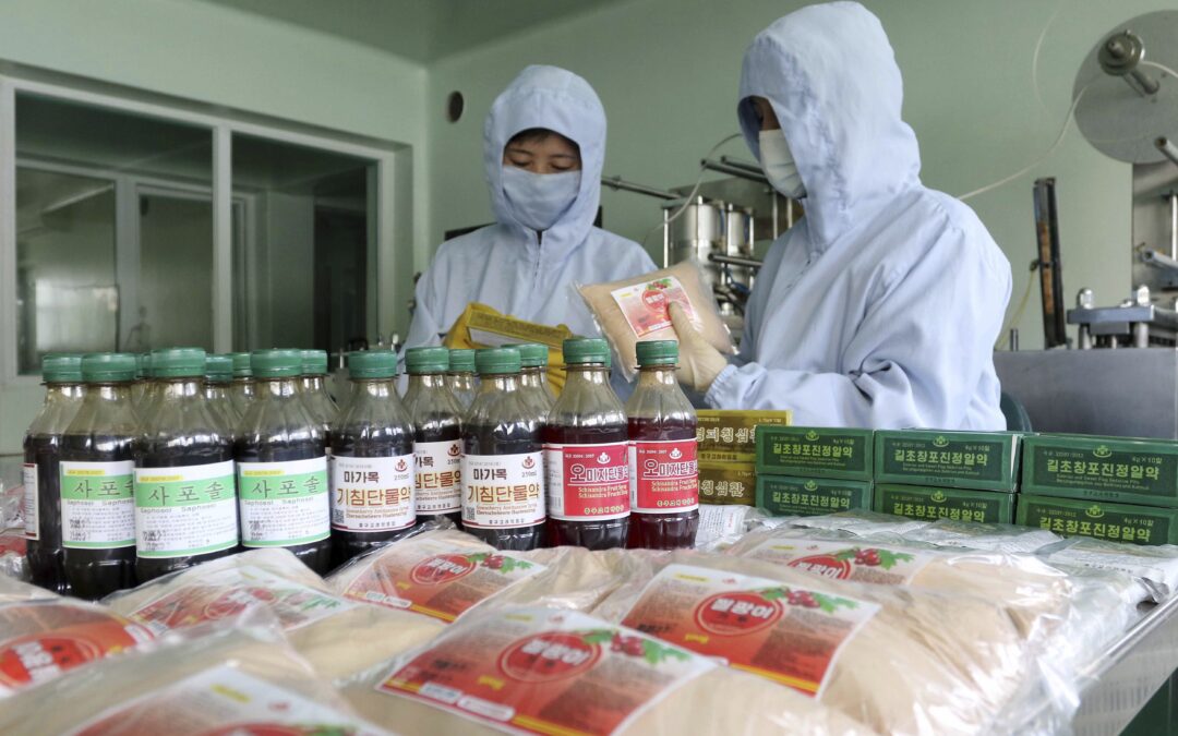 North Korea pushes traditional medicine to fight COVID-19