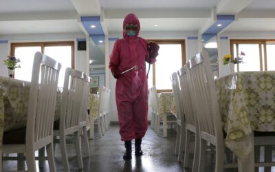 North Korea says new fever cases were flu, not COVID-19