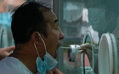 WHO: COVID-19 deaths fall overall by 9%, infections stable