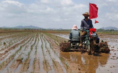 N. Korea food shortage worsens amid COVID, but no famine yet
