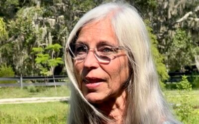 Florida ramps up mosquito control efforts due to 4 cases of locally contracted malaria