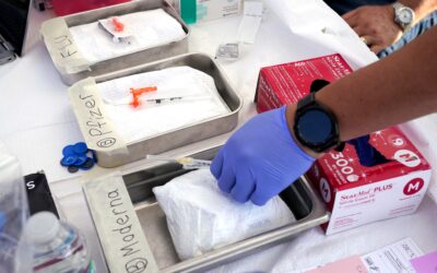 US intelligence report on COVID-19 origins rejects some points raised by lab leak theory proponents